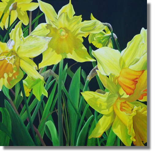 Daffodils
oil on canvas
51 x 51 cm