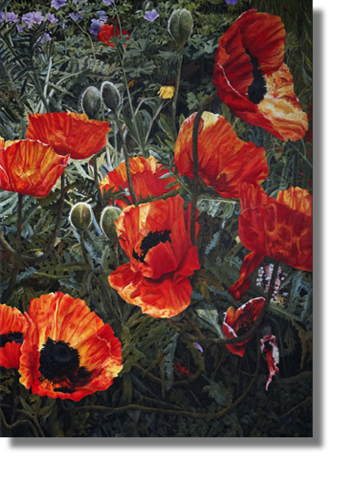 Poppies
oil on canvas
76 x 107 cm
