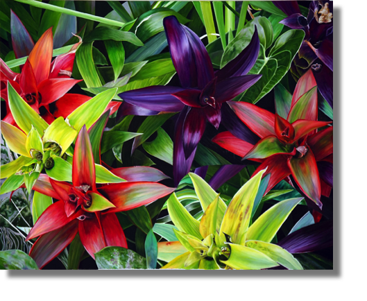 Stars
oil on canvas
76 x 62 cm